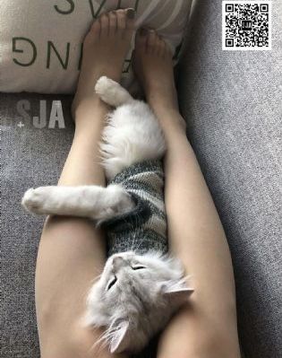 梦想的声音第三季_BD韩语动漫在线观看